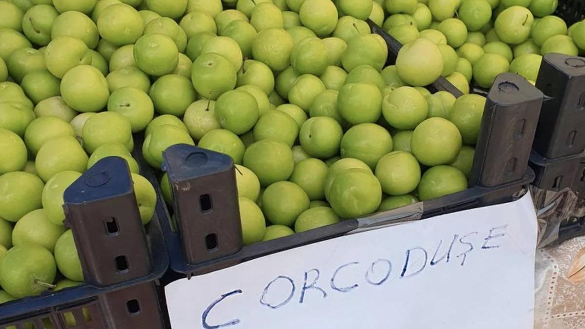 pret kilogram corcoduse turcia piata romania