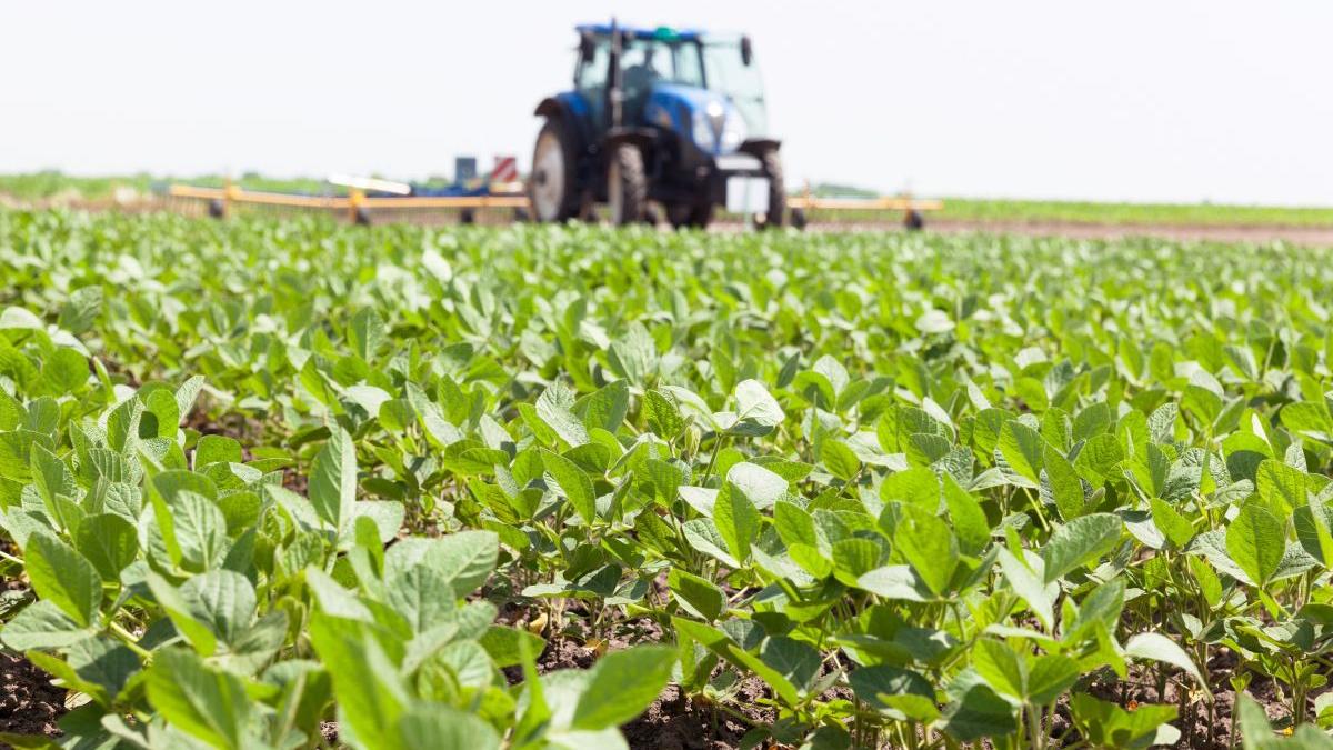 acces rapid bani flexibilitate banci fermieri romani