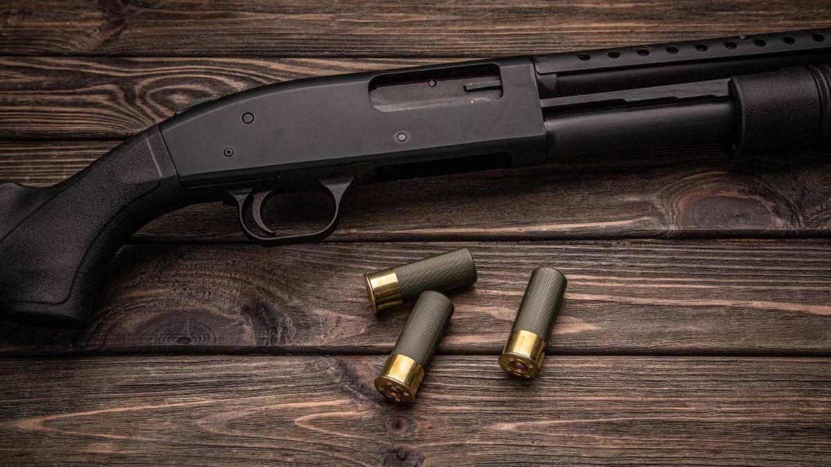 barbat 30 ani mort casa impuscat sanandrei timis