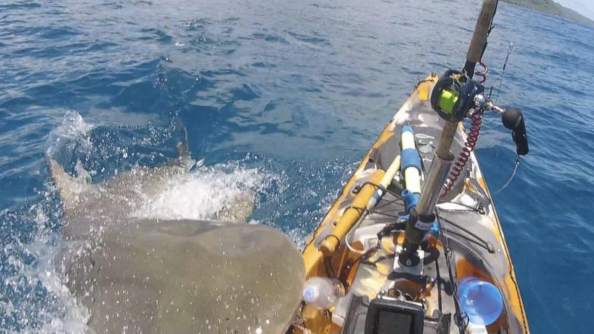 pescar filmat moment atac rechin sapte metri