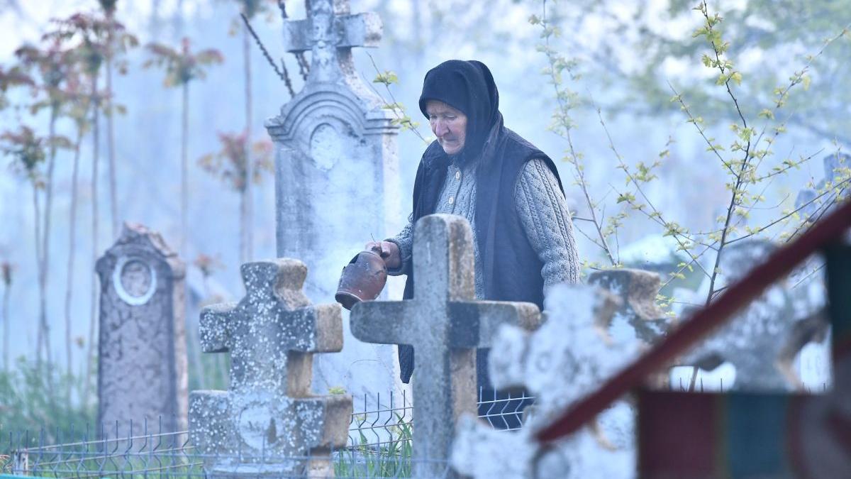 cimitir regin digitalizat morminte informatii