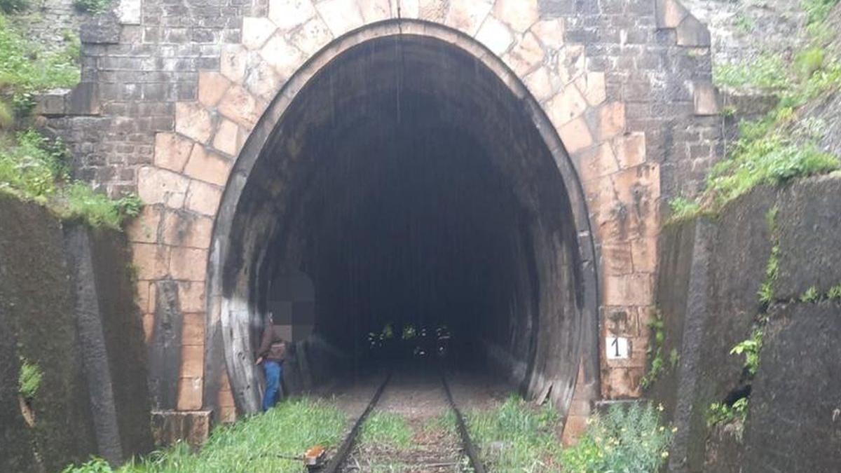 fata 19 ani murit calcata tren tunel cale ferata bumbesti jiu