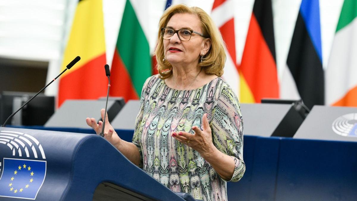 maria grapini bruxelles greieri gandaci maria grapini bruxelles greieri gandaci