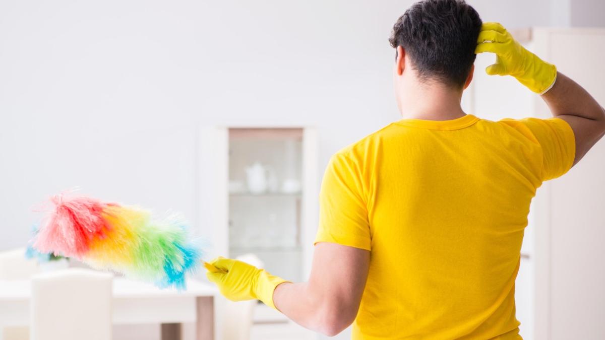 tara ue autoritatile lanseaza aplicatie barbati participa treburile casnice