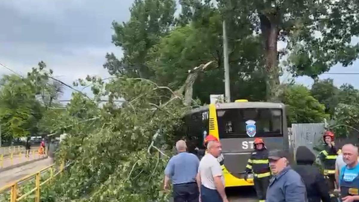 copac cazut autobuz bucuresti vant