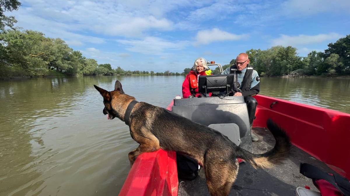 fetita disparuta mures cautata scafandri caini urma