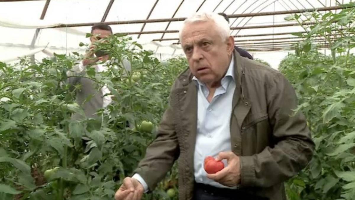 petre daea mancat rosii nespalate solar izbiceni