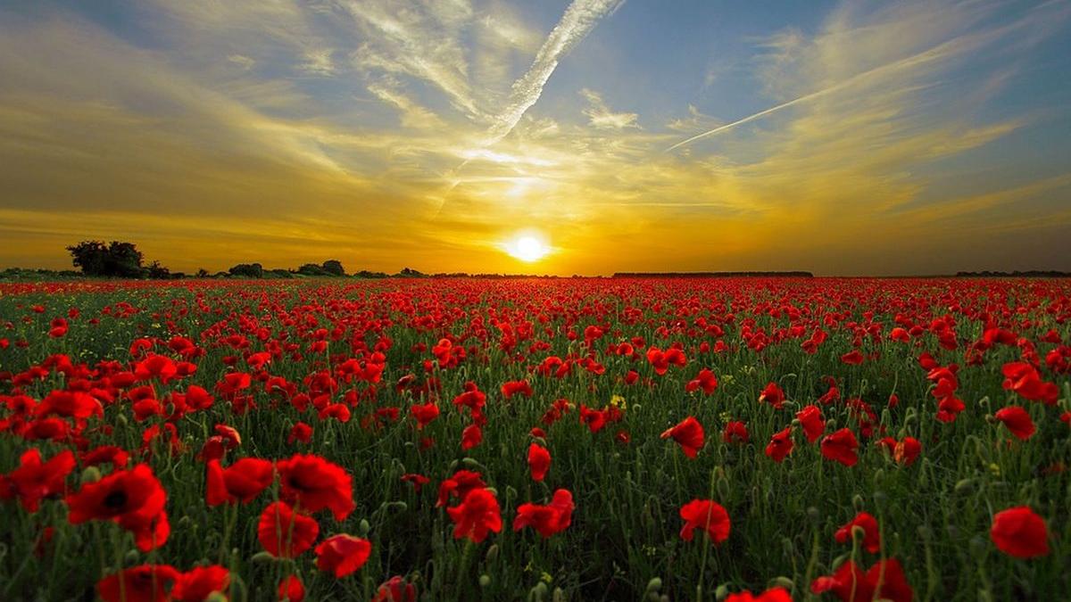 vreme incalzire prognoza meteo anm sfarsit mai 2023