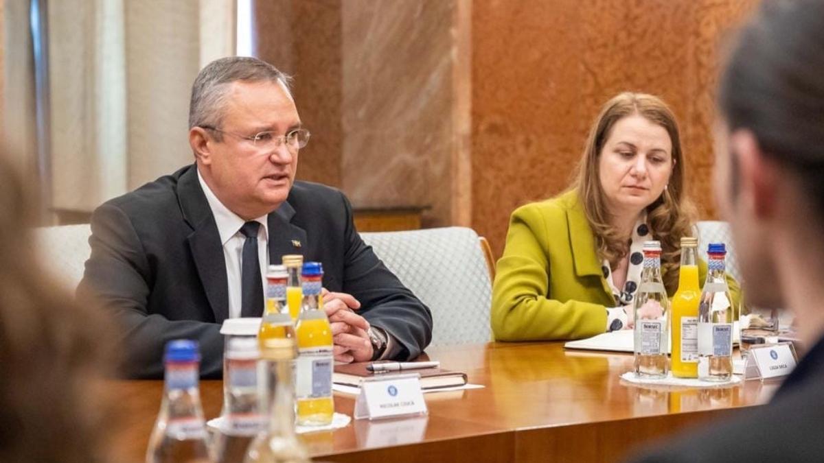 nicolae ciuca solicitari profesori greva