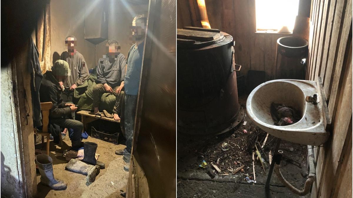 cinci proprietari sclavi maramures trimisi dupa gratii