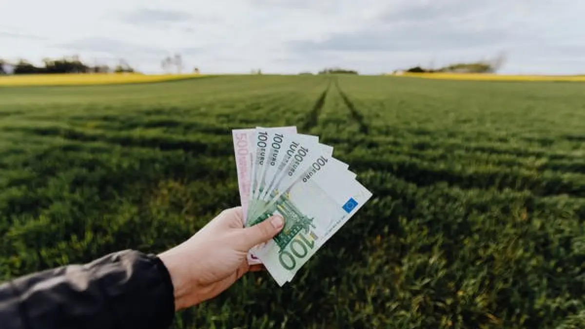 curs valutar bnr 25 mai 2023