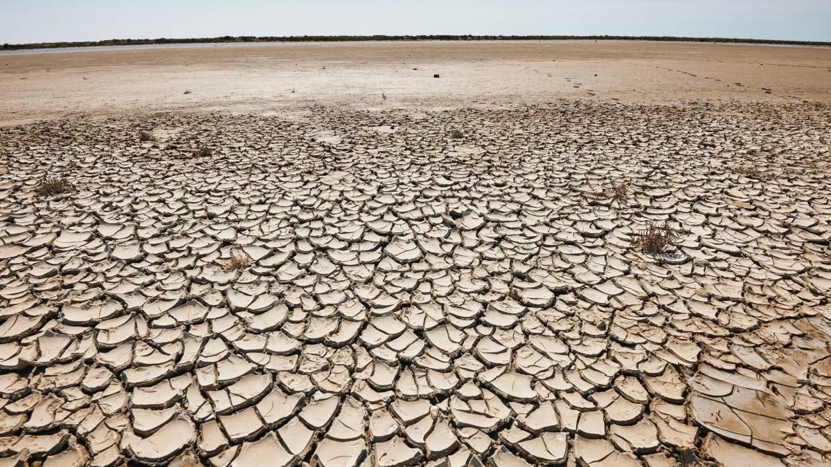 romania o treime suprafata arabila risc aridizare posibil desertificare