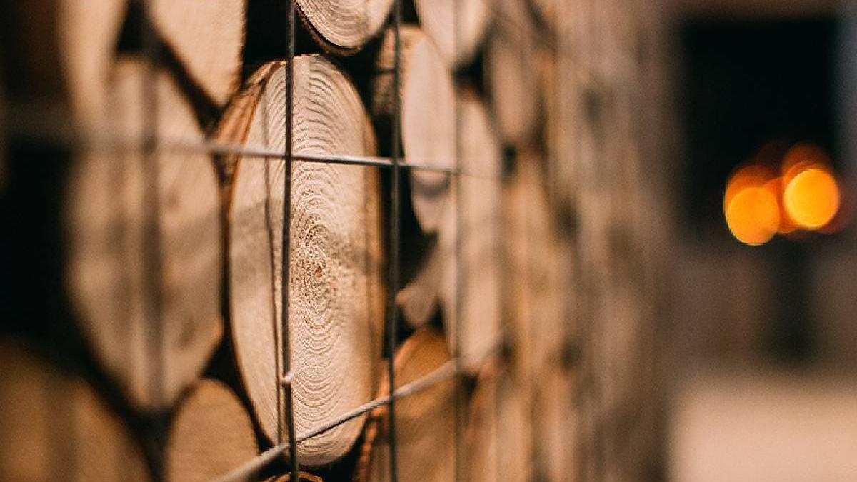 productie lemn scadere dramatica pierdere milioane euro