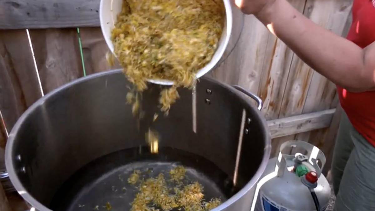 secret vin papadie producere licoare uimit planeta