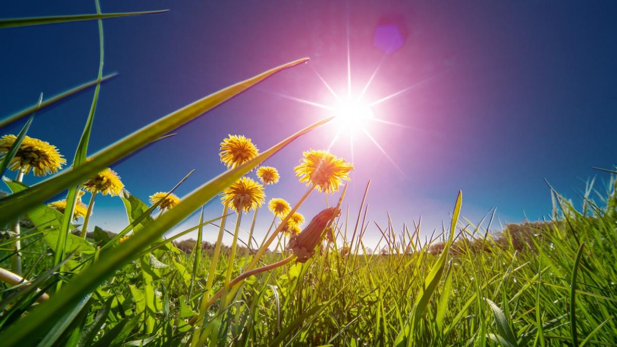 prognoza meteo 29 mai 11 iunie cum vreme