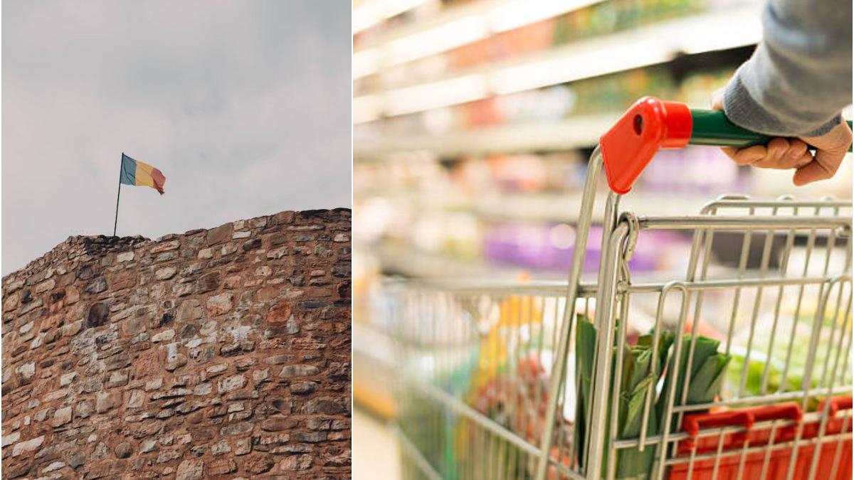 proiect amenzi produse raft tricolor