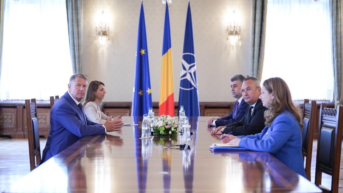 klaus iohannis consultari liderii coalitie greva profesori