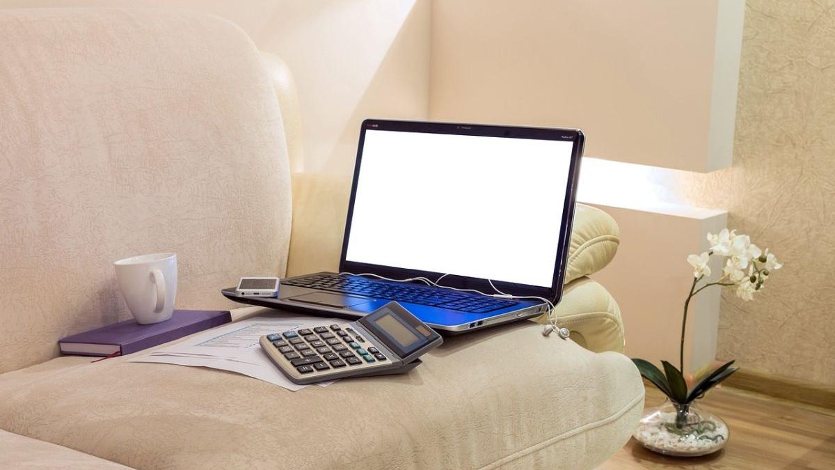 munca acasa telemunca angajati copii 8 ani votata senat