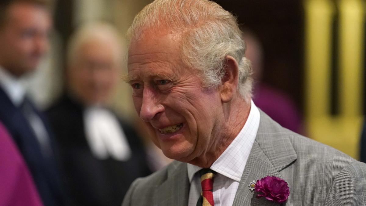 rege charles mures transilvania