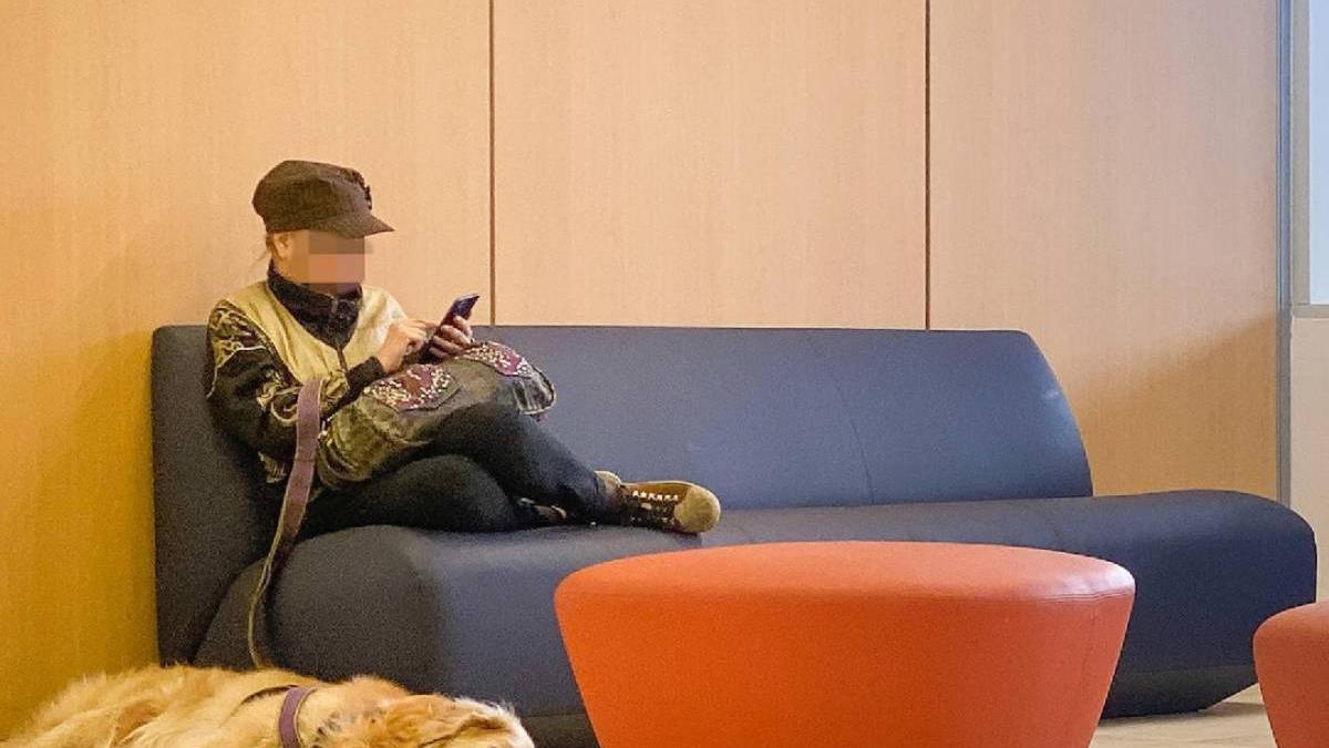 romanca caine locuit 17 zile canapea aeroport spania refuzat ajutor