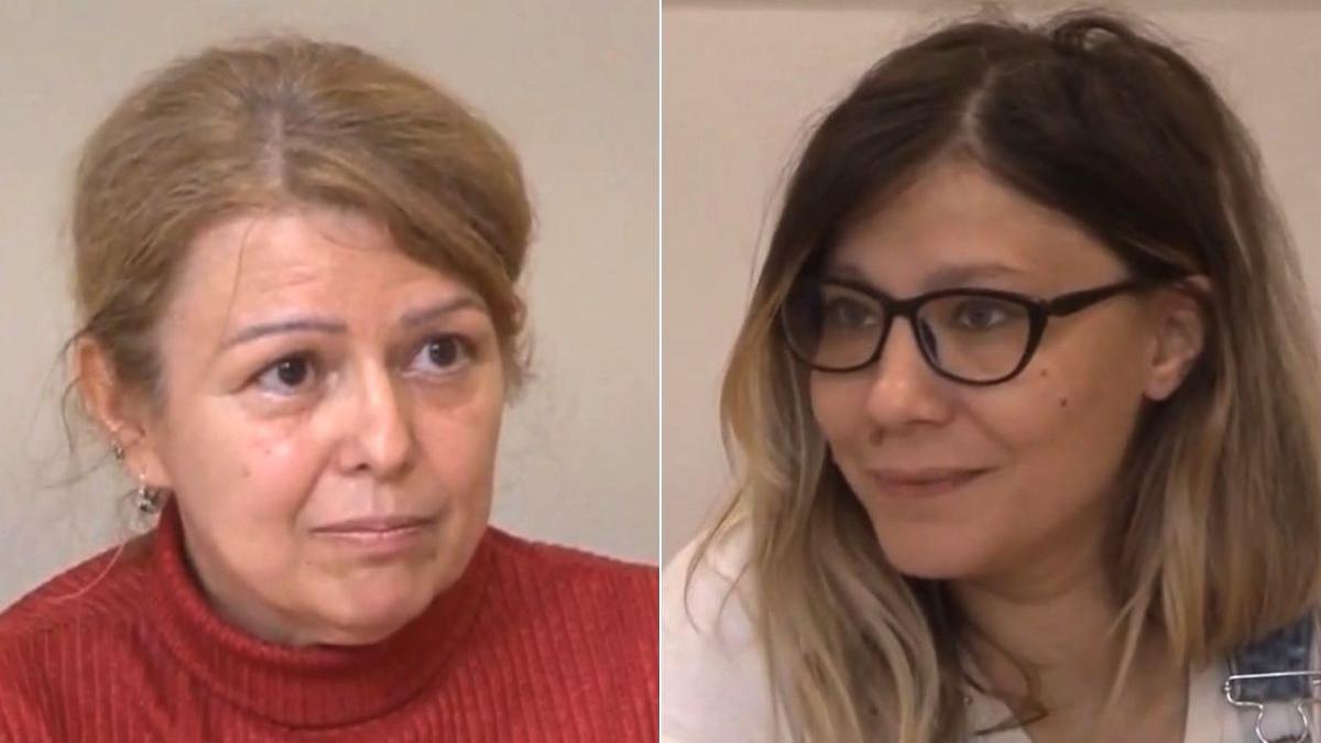 umilita imi vine sa plang povesti profesori romani traiesc de pe o zi pe alta