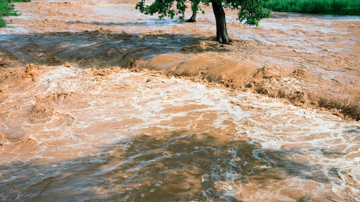 ploi inundatii furtuni cod rosu romania