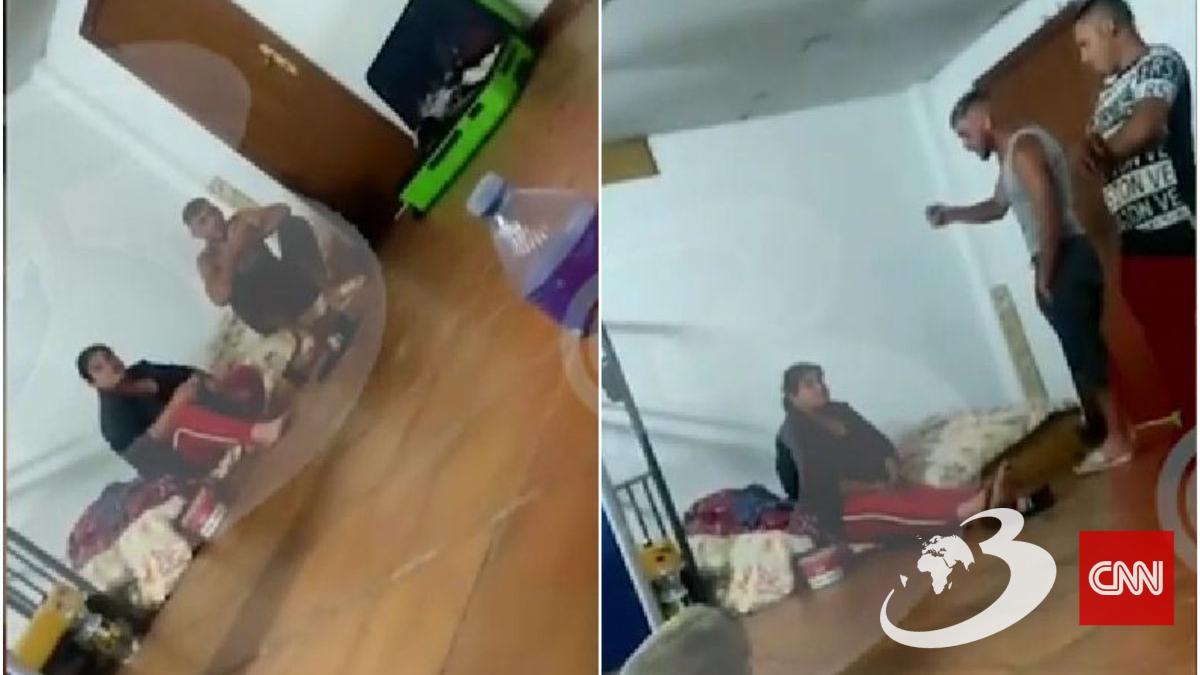 crima bucuresti berceni imagini mama ferma spania