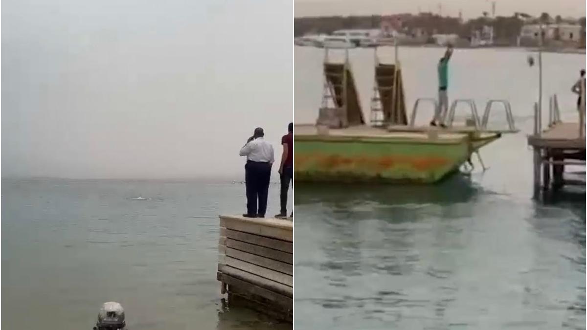 vacanta final tragic hurghada barbat rusia sfasiat rechin