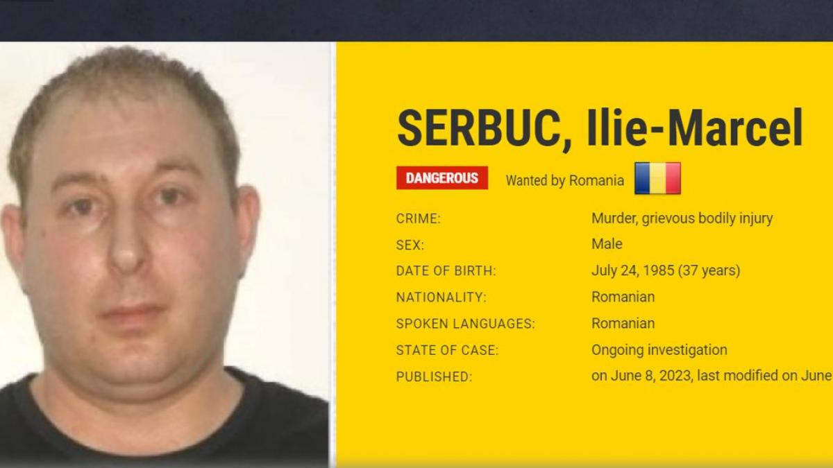 ilie marcel serbuc presupus criminal fetita 12 ani