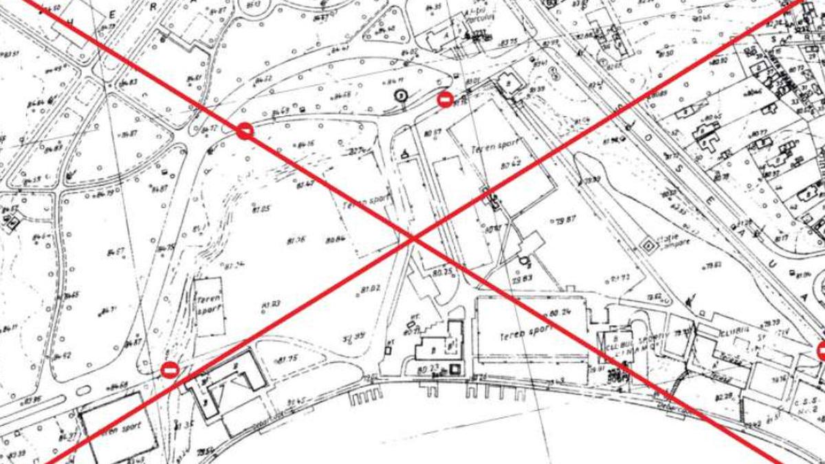 masini parc herastrau viceprimar horia tomescu