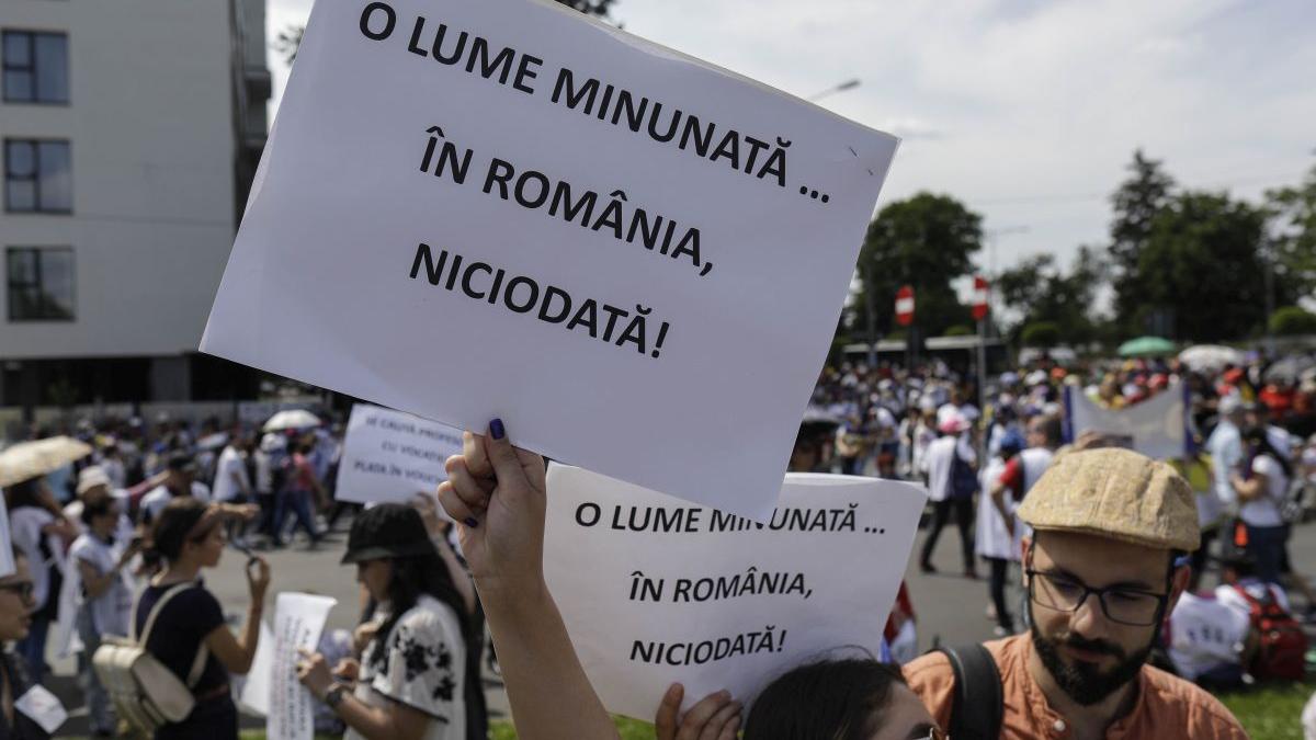 primele reactii profesori noua oferta guvern