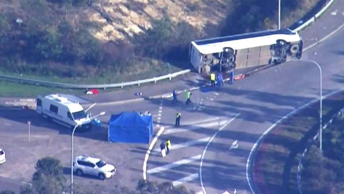 autobuz nuntasi rasturnat sens giratoriu australia