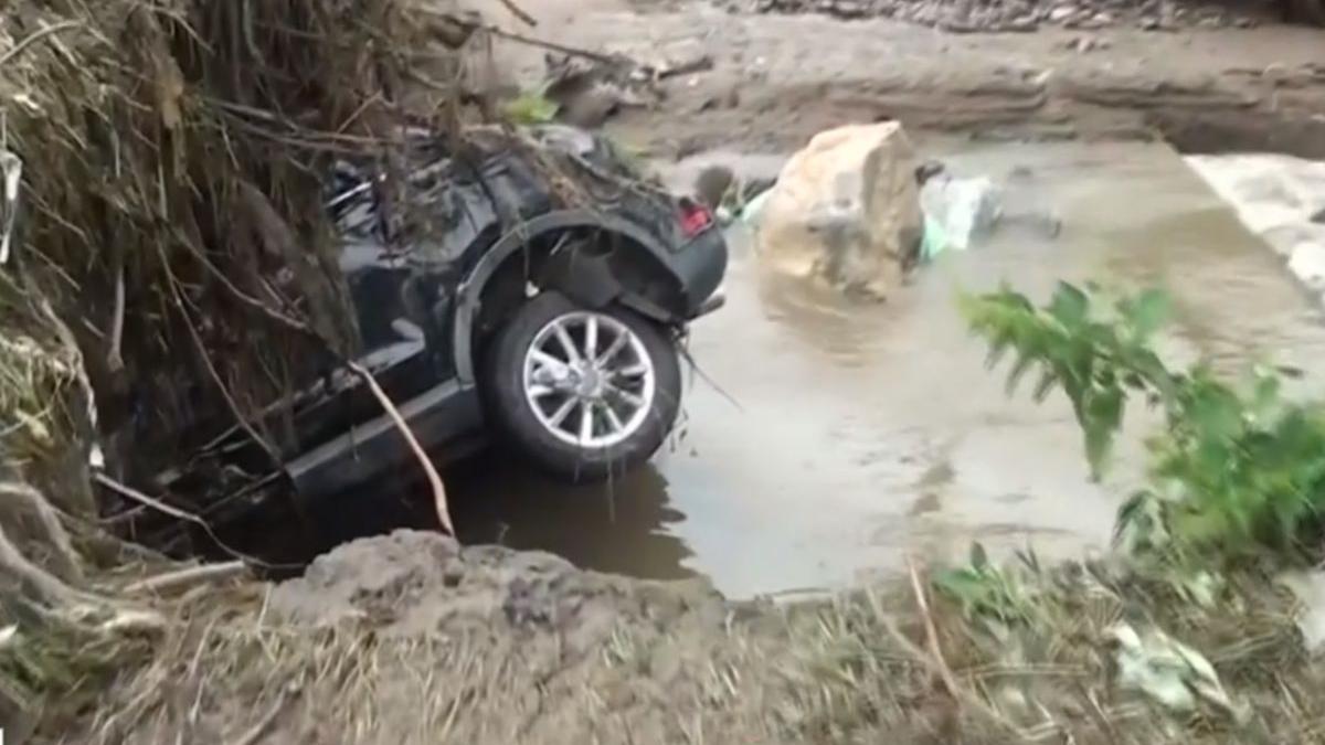 cod rosu alba animale ucise masini distruse viituri mehedinti dolj