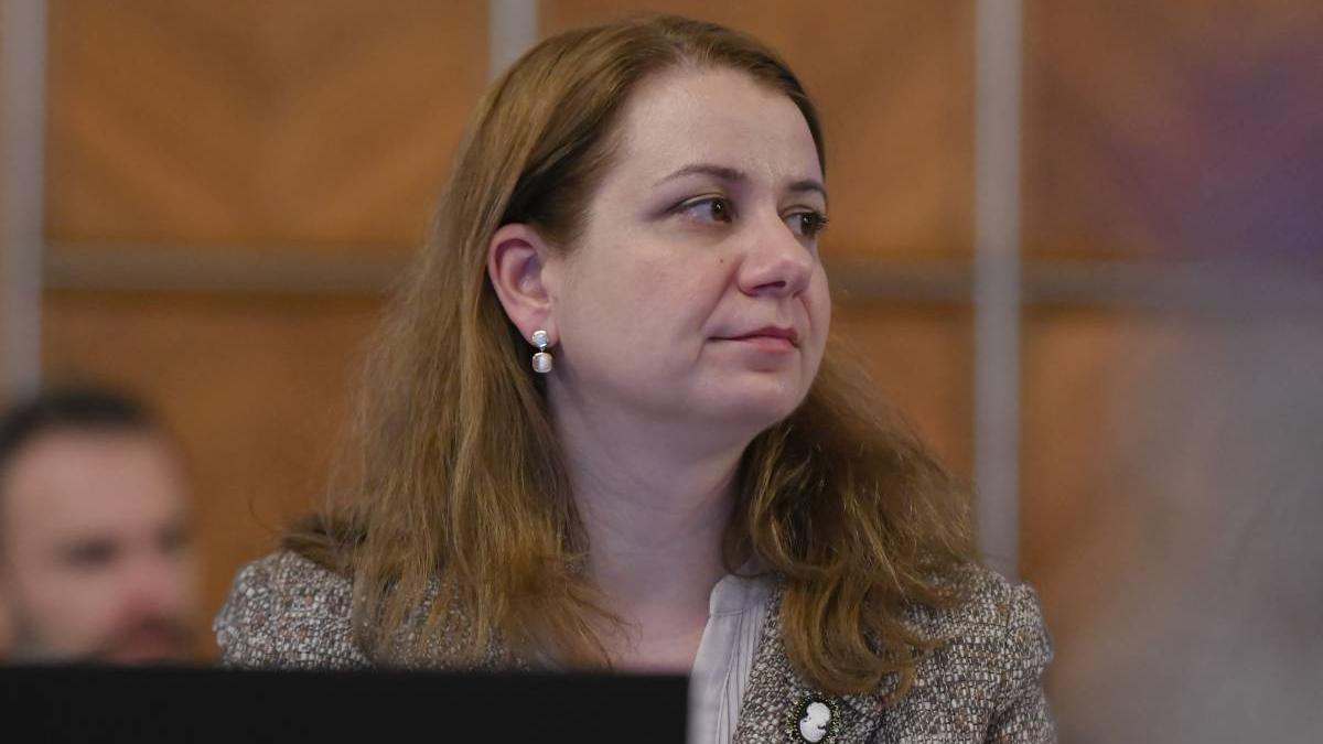 ligia deca aviz favorabil parlament mandat nou ministru educatie