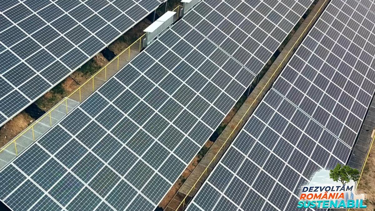 retailer certificat european eficienta energetica penny