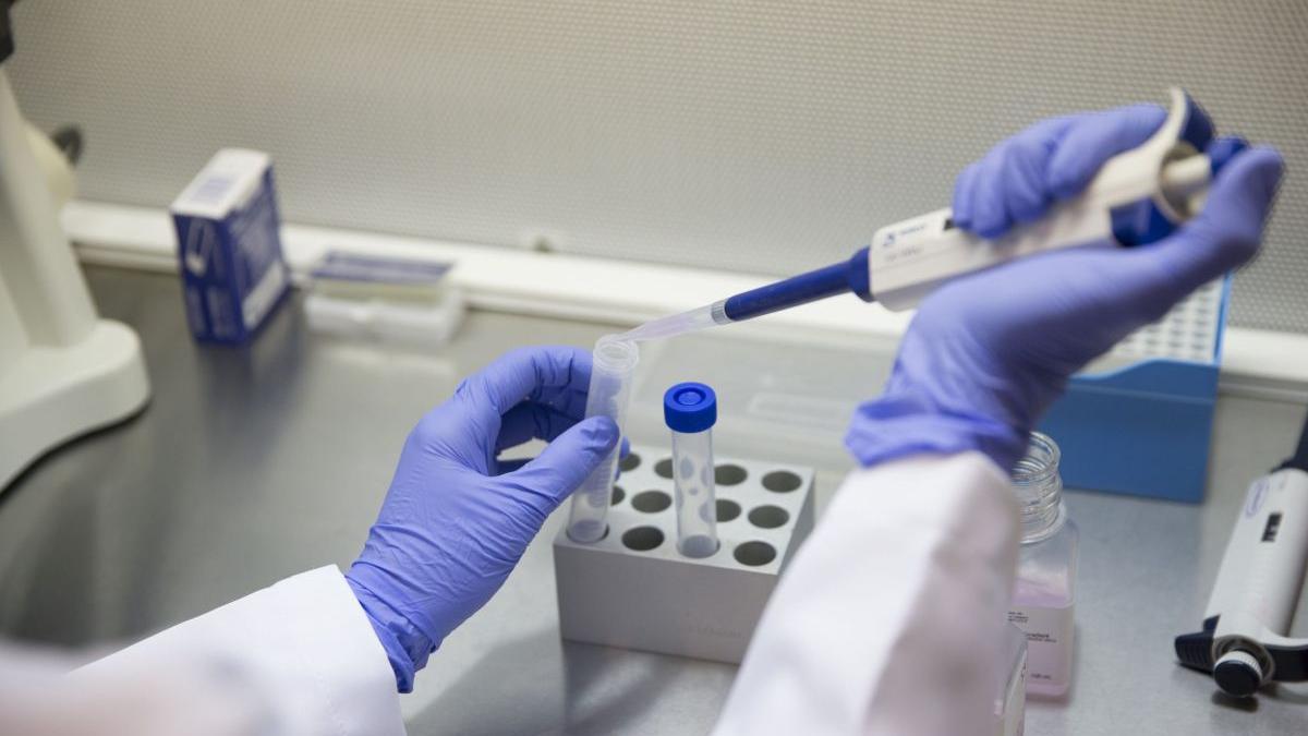 scop nu viata cosmar modele sintetice embrioni umani laborator premiera