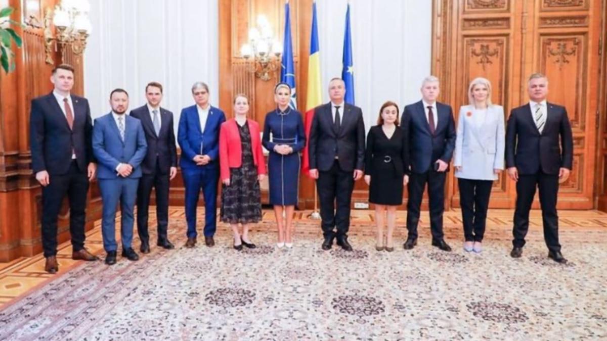 deputat pnl partidul national liberal guvernare