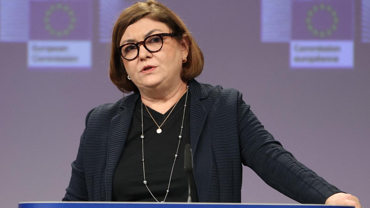 romania inclusa coridor transport finantat tari g7 adina valean