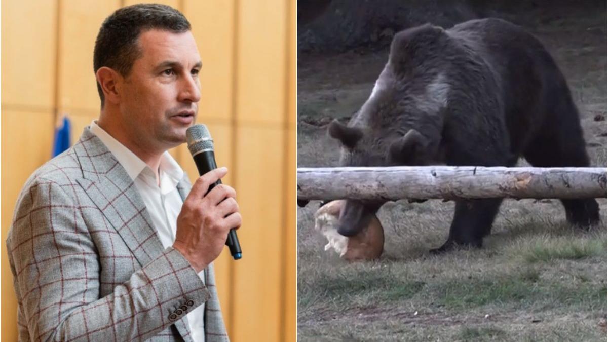 tzancos barna ordonat ucidere 500 ursi ultima zi minister mediu