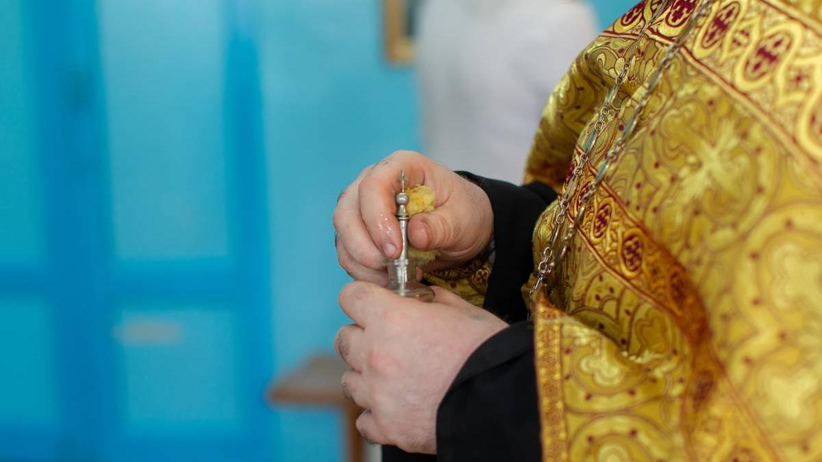 cum arata floare mir cultivare romania