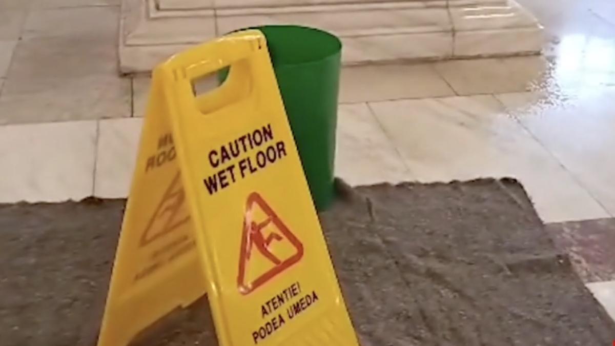 ploua la propriu senatul romaniei