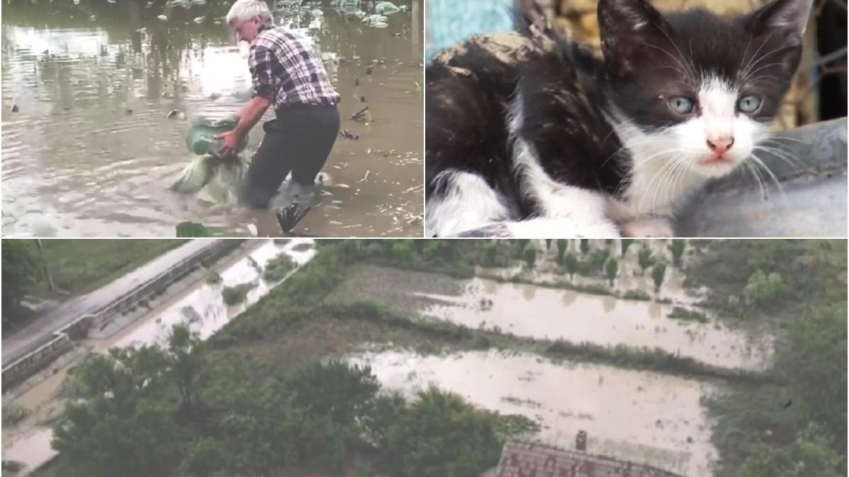 prapad vreme rea iasi dolj cod galben