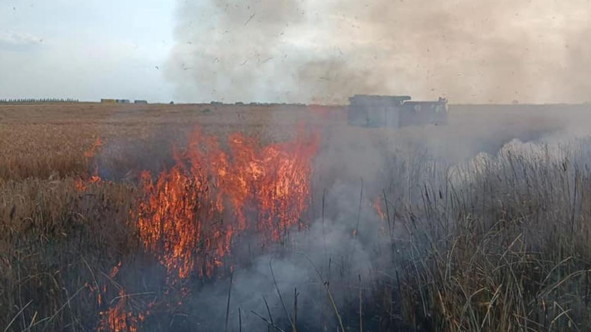 hectare grau incendiu arad tigara