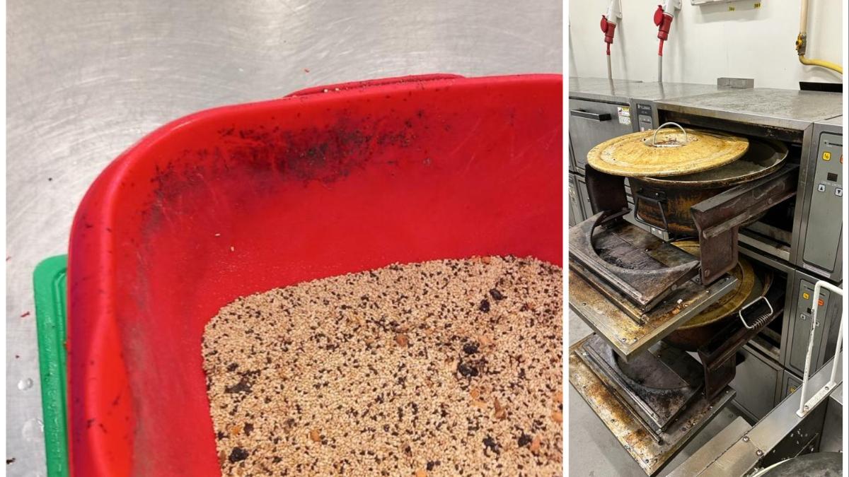 amenzi anpc sushi expert srl peste