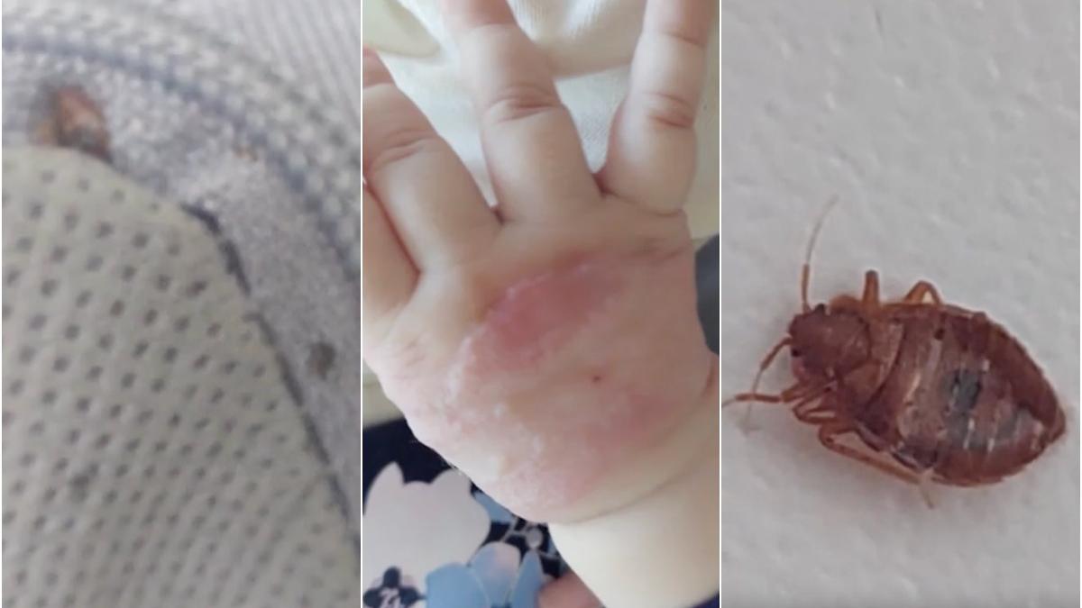 saltele gandaci spital valcea copiii dorm printre insecte