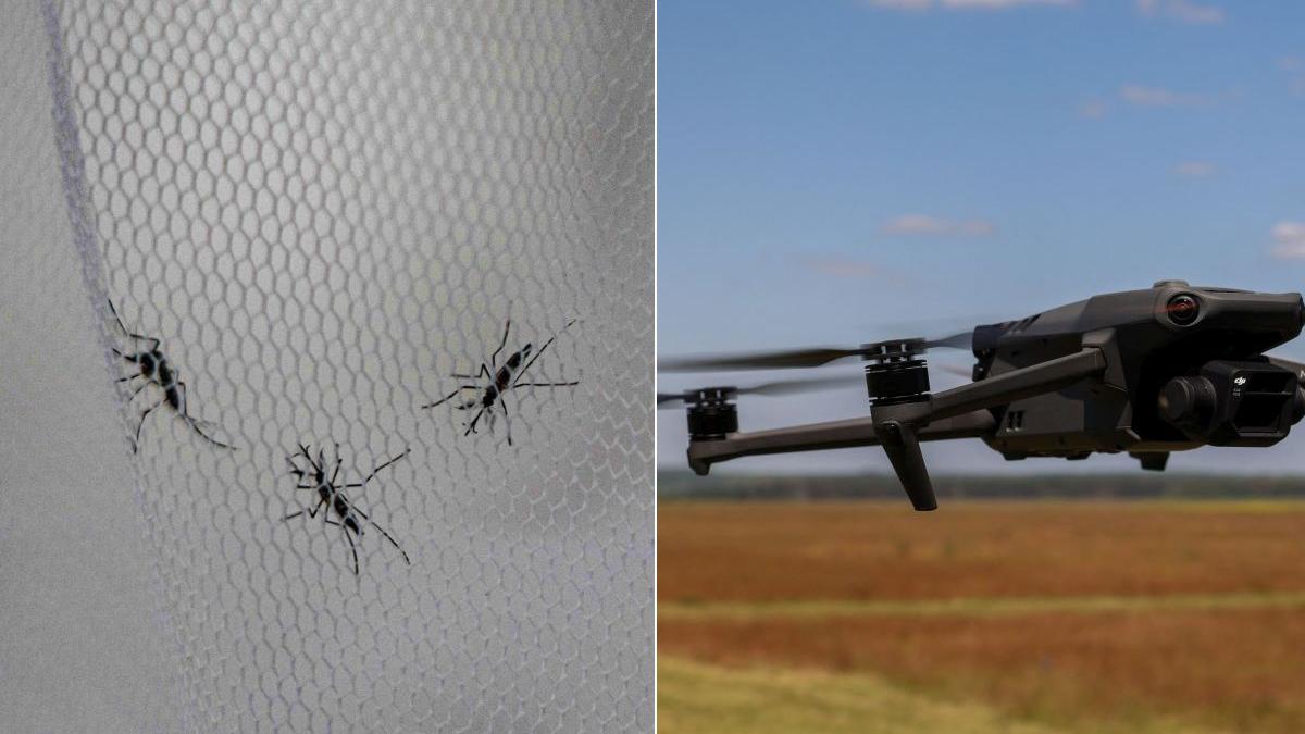 soldati infectati nu sunt capabili de lupta sua drona tantari