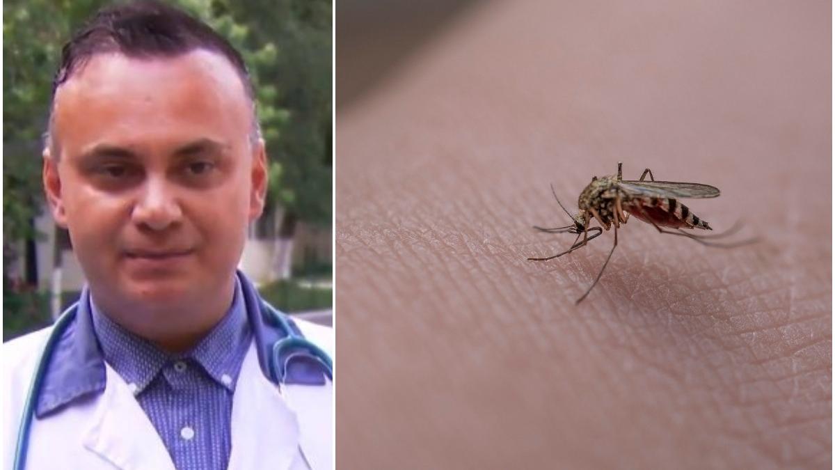 dr adrian marinescu alerta europa invazie tantari infectie virus west nile recomandari protectie