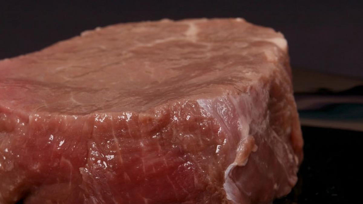 carne sintetica interzisa romania