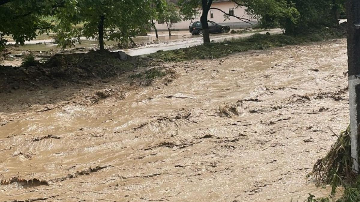pensionar gasit mort pe un teren agricol viituri inundatii ploi arad