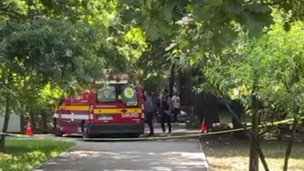 fata si baiat injunghiati la gradina botanica din craiova